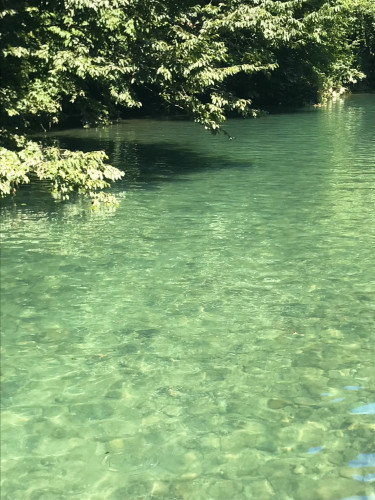 S__111706123.jpg