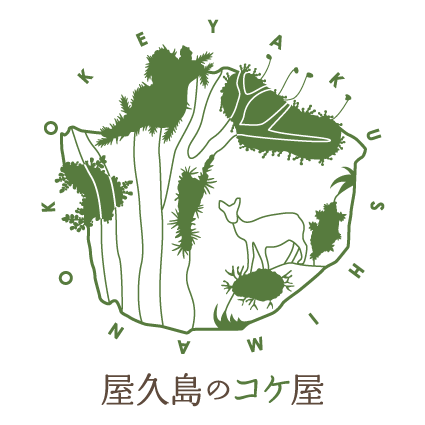 サイト引越し＆新サービスの開始！