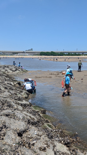 4月13日　海の学校中止