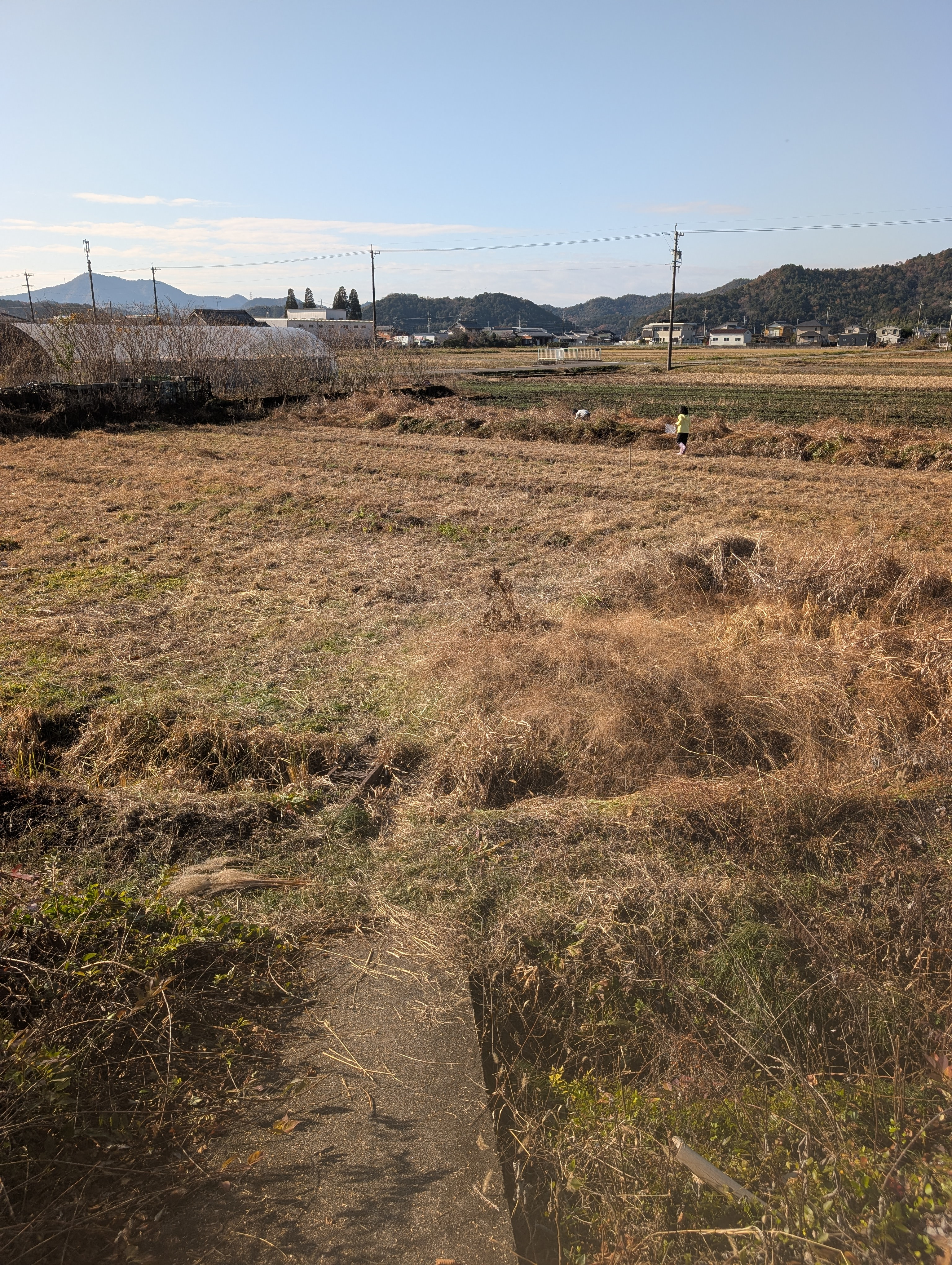 北野田んぼ倶楽部参加者募集中