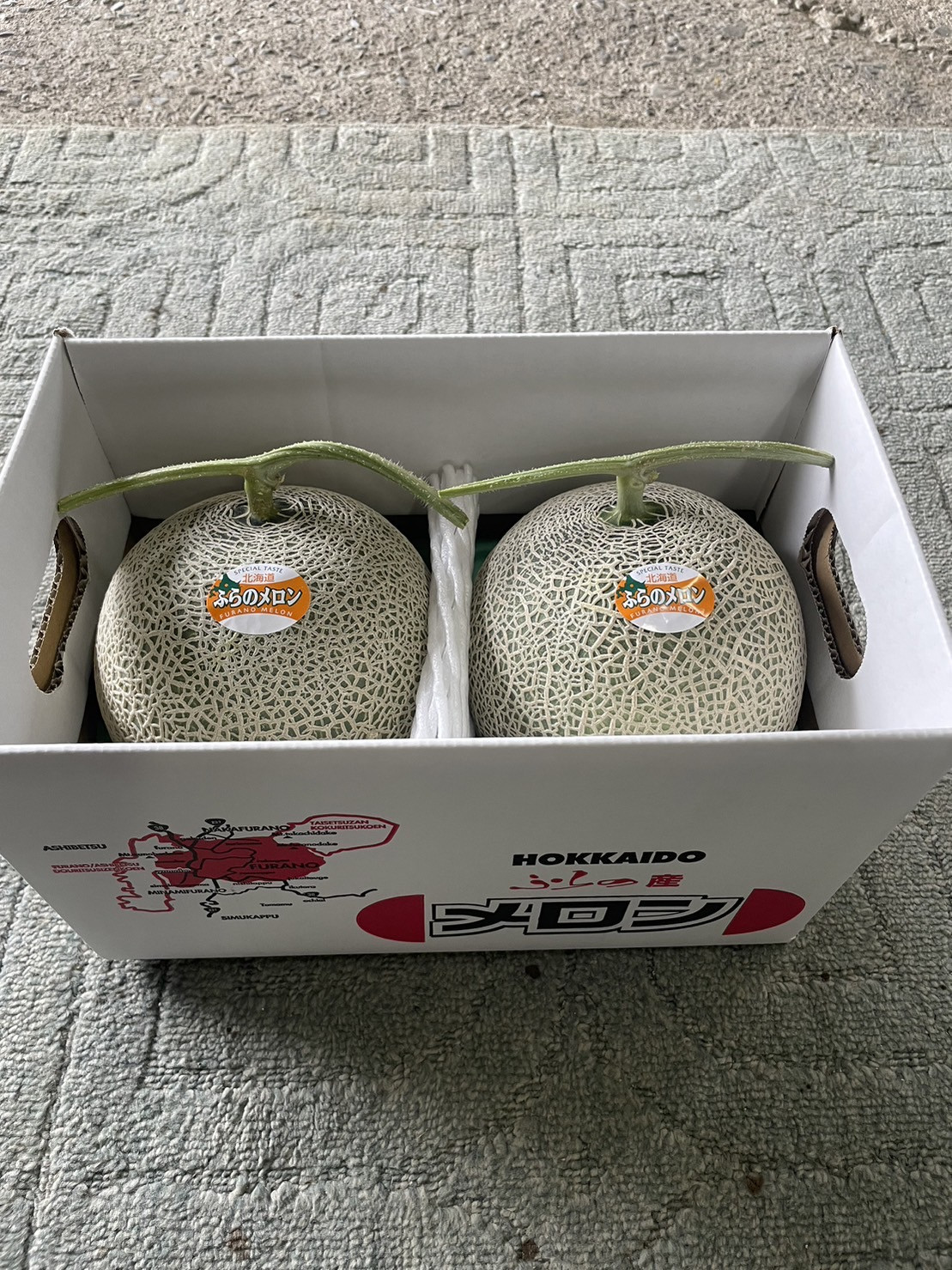 富良野メロン 2玉セット - いけだ農園