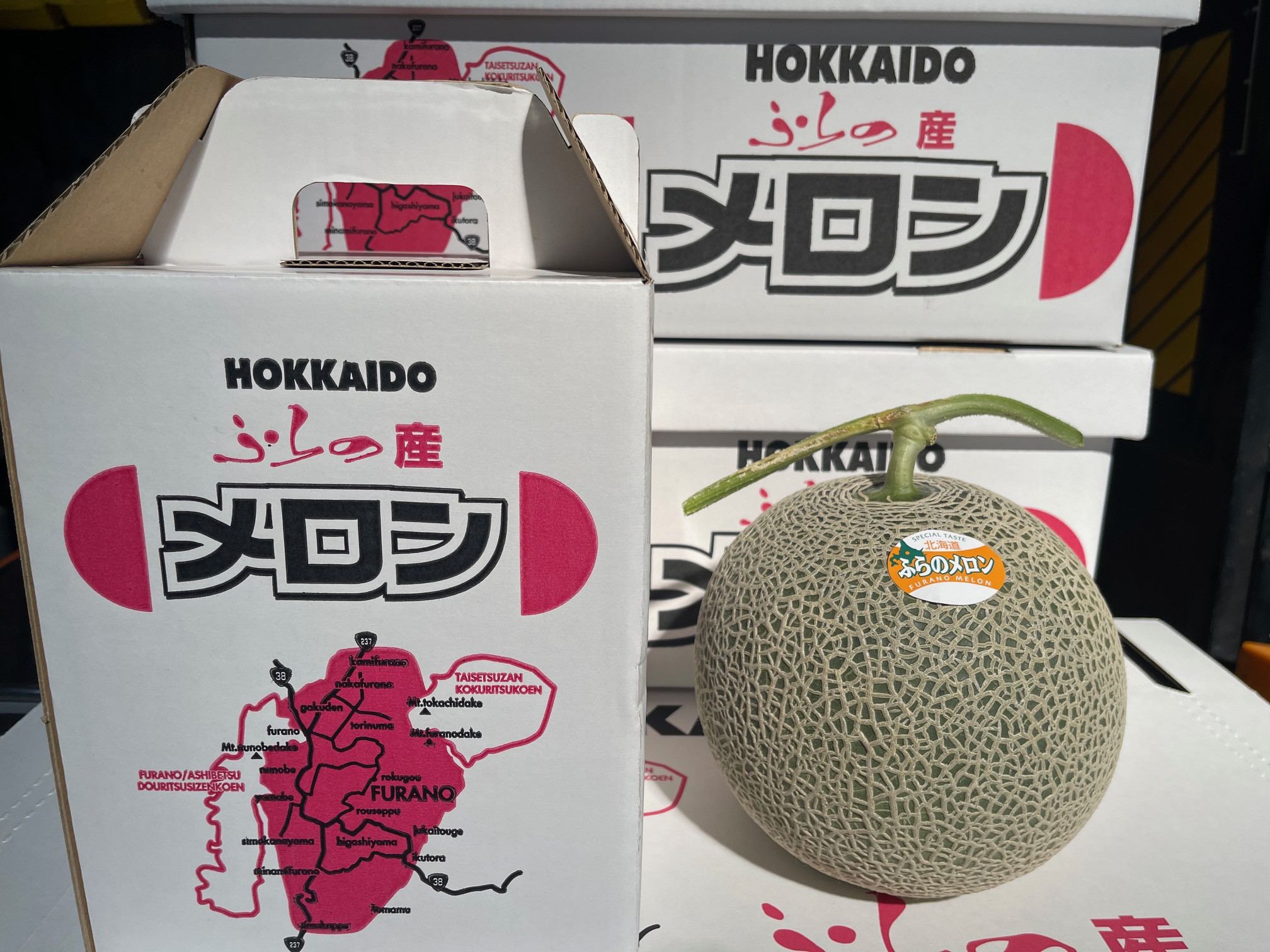 富良野メロン　１玉