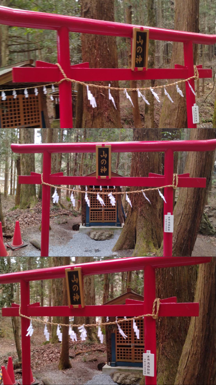 本日の作業内容