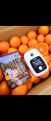 12月ご自宅用みかん箱売りについて