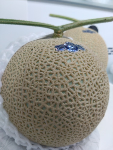 【　販売商品　】