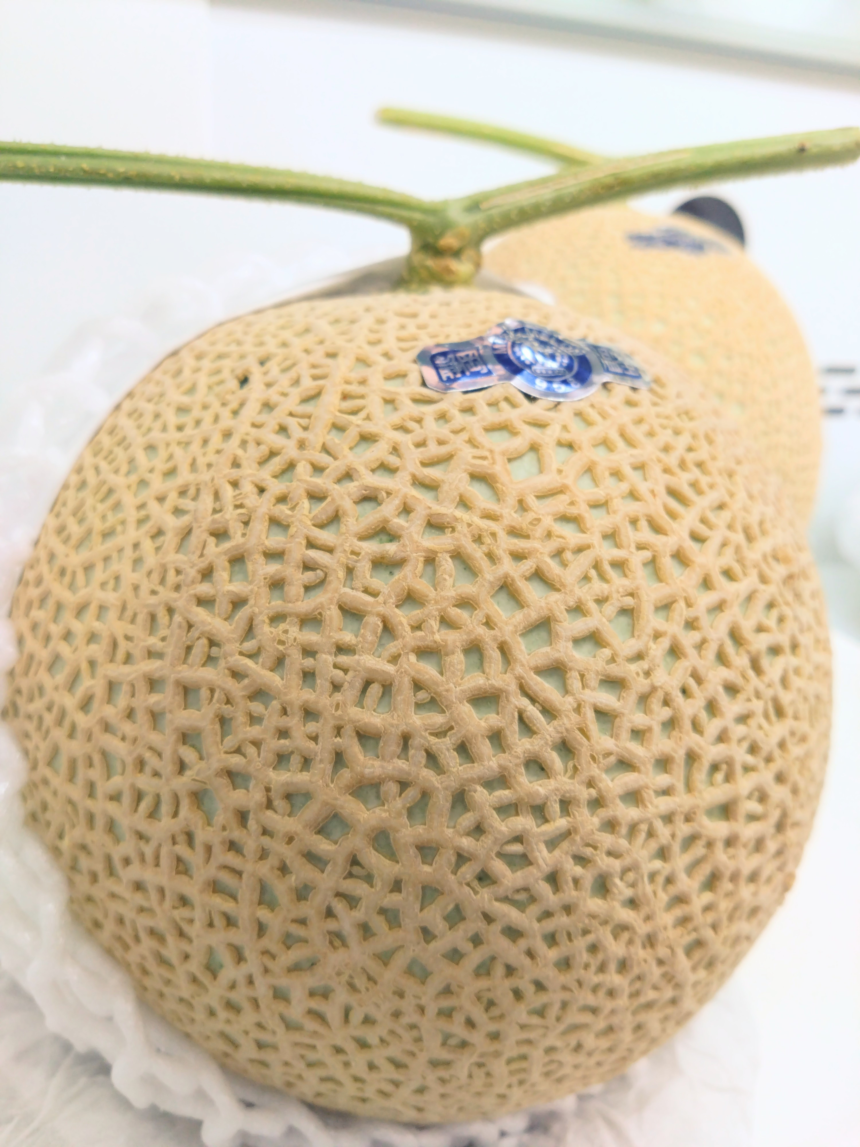 【　本日の厳選・販売状況　】