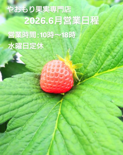 【　6月の営業日程　】