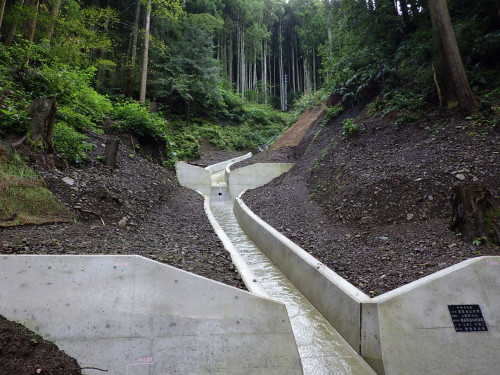 R４徳林　復旧治山　上勝町杉山　山腹工事（難工事評価型）