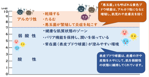 tena-2.png