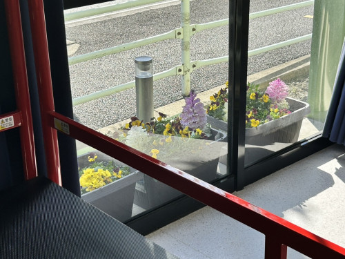 S__254541833.jpg