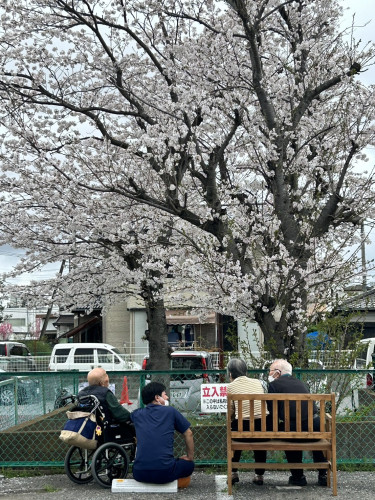 S__256049154.jpg