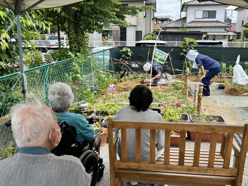 S__261652487.jpg