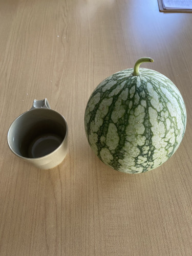 S__267231236.jpg