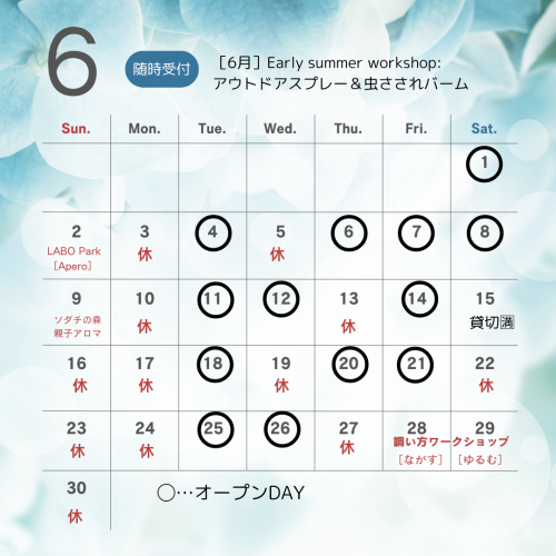 水色 シンプル 花 5月 6月 7月 予約状況 カレンダー Instagram 投稿 - 2.png