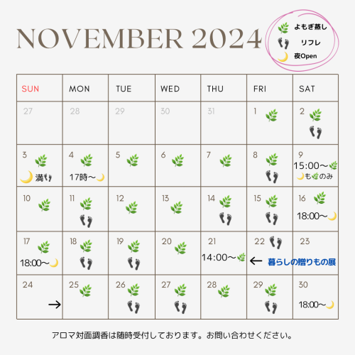 Brown Minimalist November 2024 Calendar Instagram Post.png