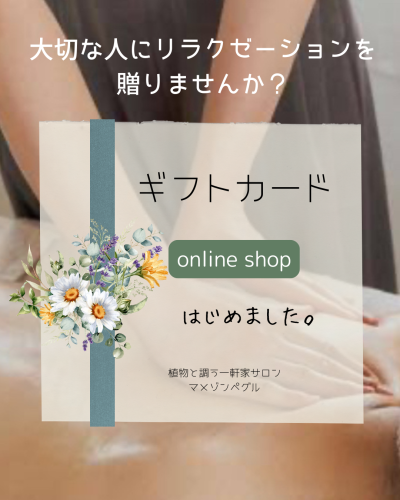 Brown Red Minimalist Gift Voucher Instagram Post.png