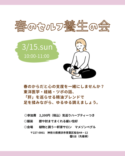 青 白 シンプル かわいい こどもの日 Instagram投稿.png