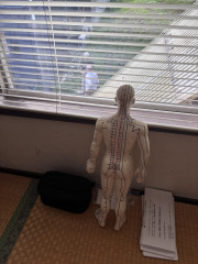 IMG_2767.jpeg