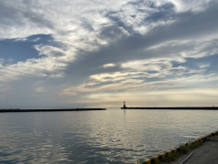 IMG_7775.jpeg