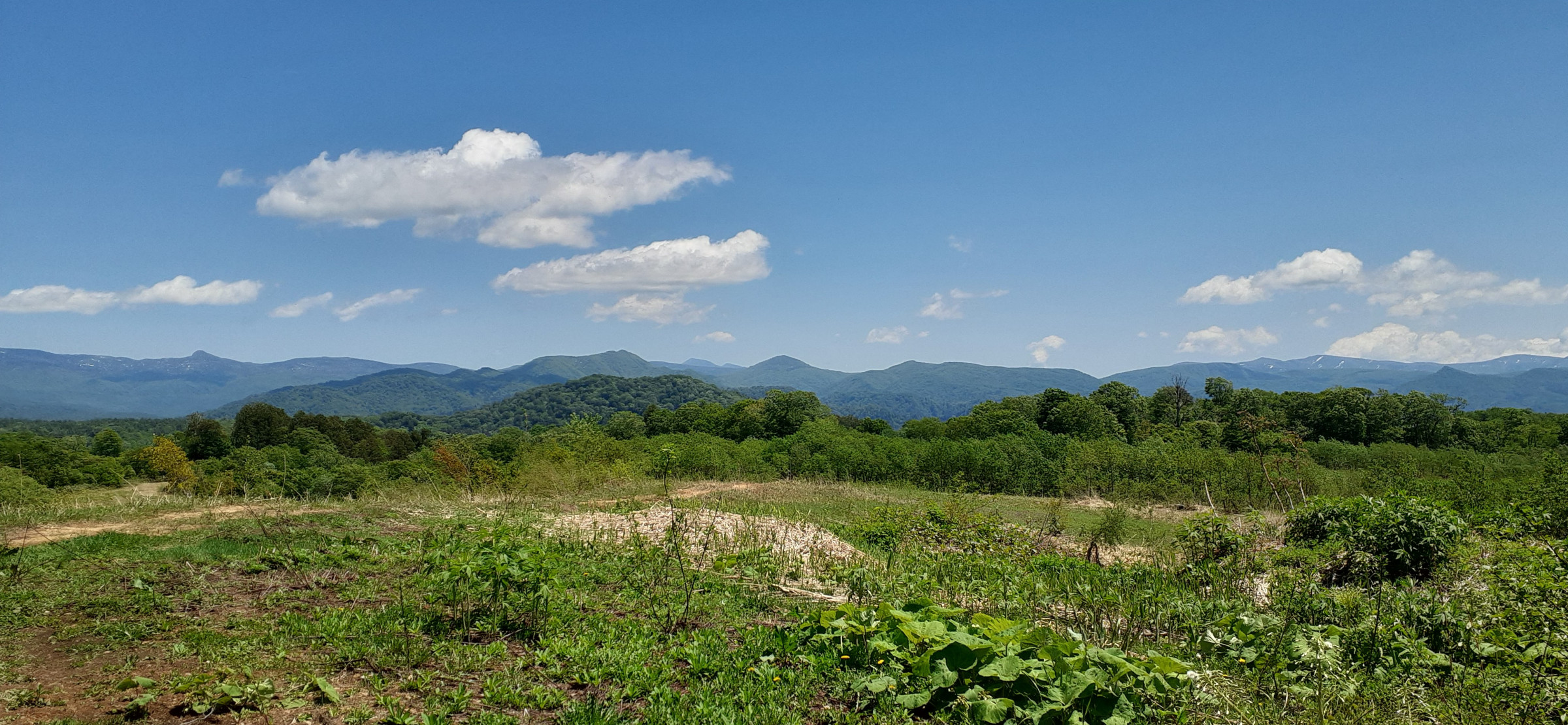秋田どんぐり村