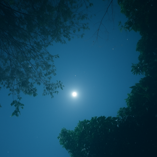 満月.PNG