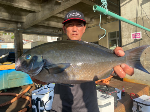 本日の釣果