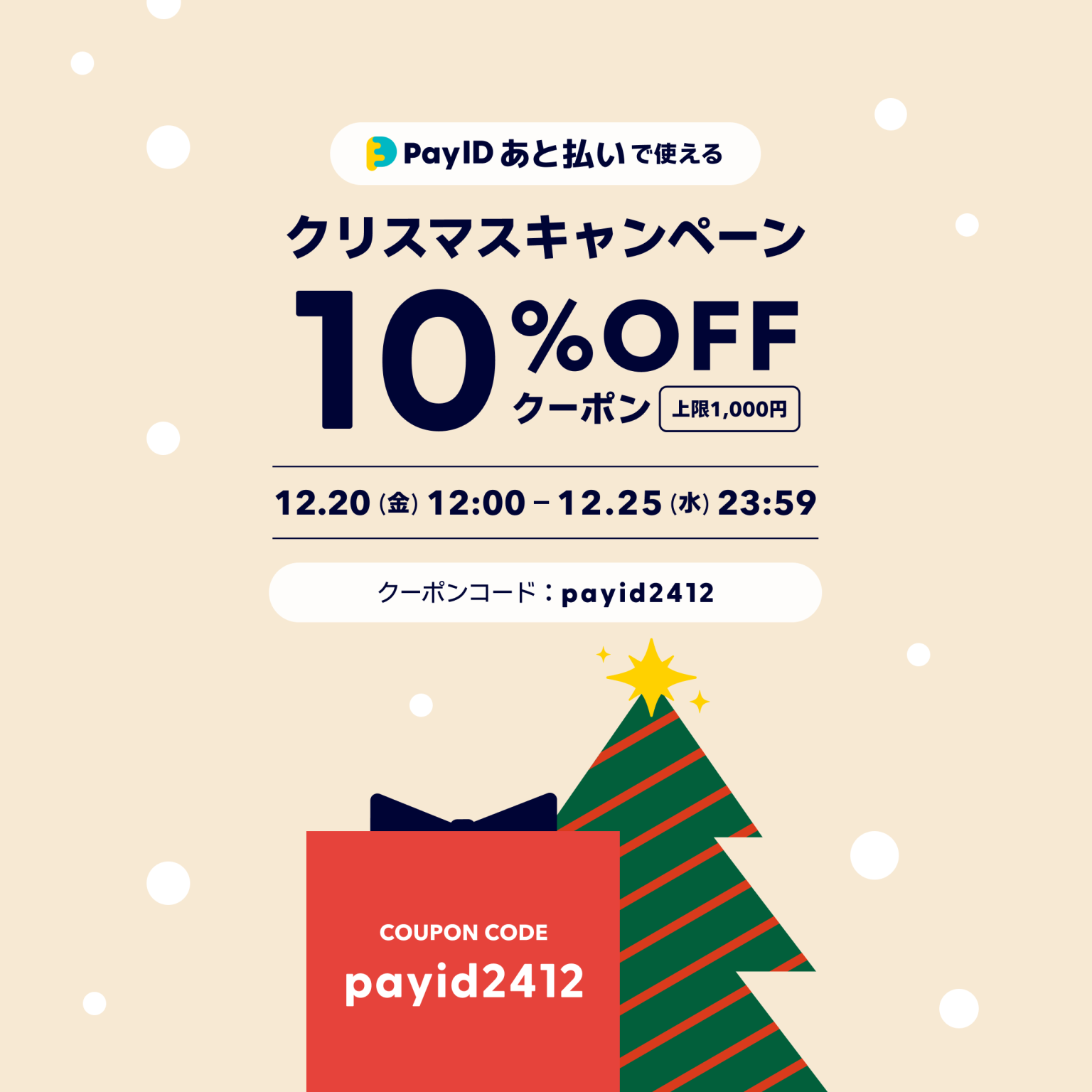 payID後払い限定クリスマスキャンペーン