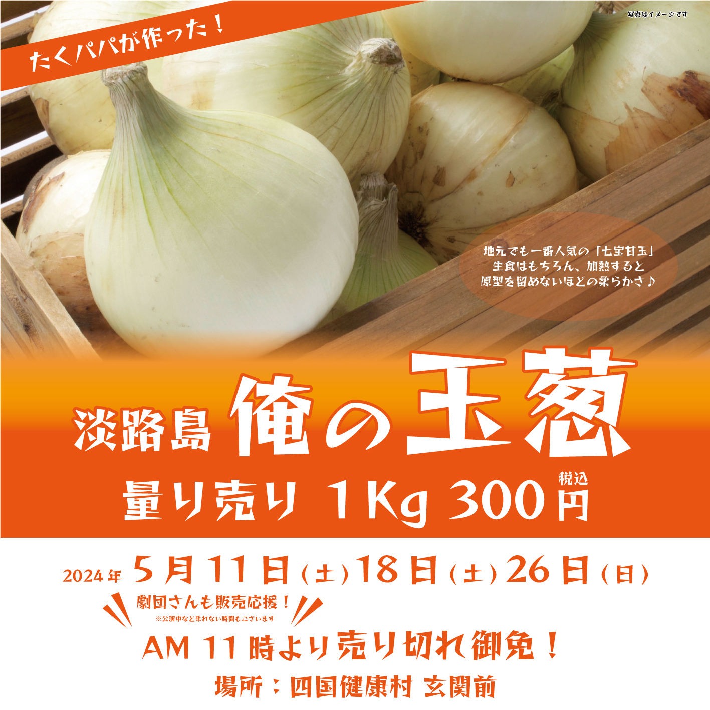 【2024年5月】淡路島の新玉葱が１kg300円！？量り売り販売いたします