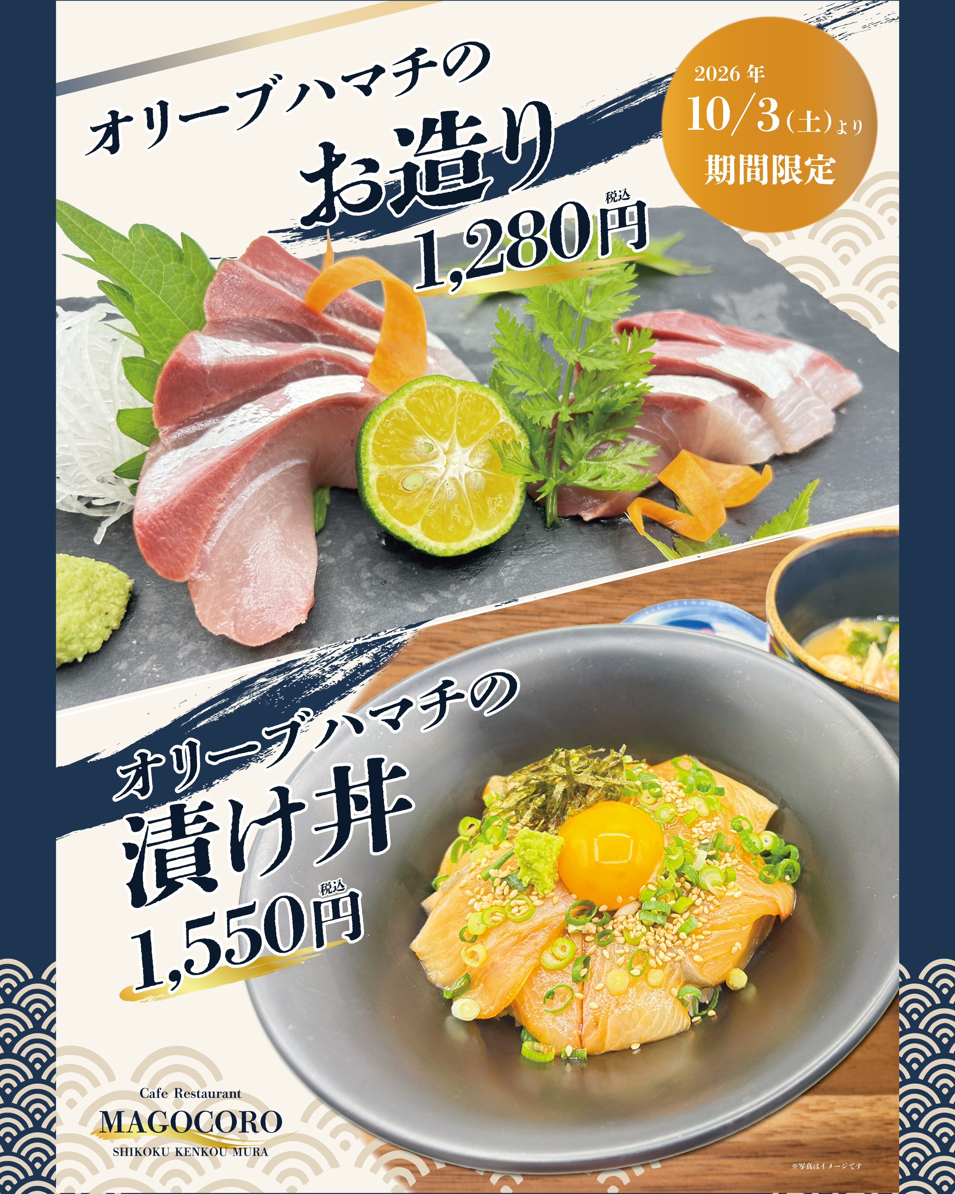 260925.オリーブハマチ.jpg