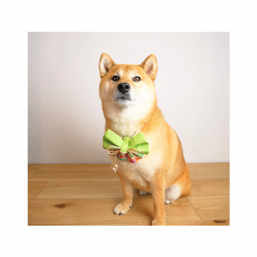 インスタ投稿　自己紹介　かわいい　花　ベージュ_20250307_094327_0000~2.png