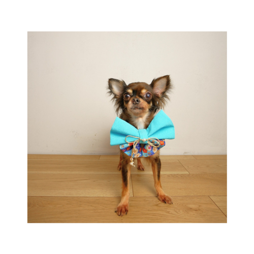 インスタ投稿　自己紹介　かわいい　花　ベージュ_20250215_164848_0001.png