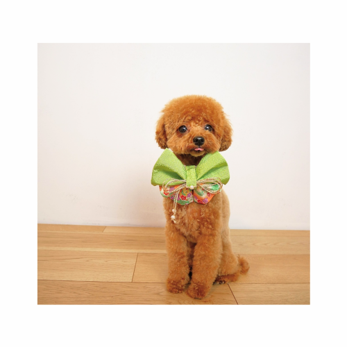 インスタ投稿　自己紹介　かわいい　花　ベージュ_20250110_000458_0001~2.png