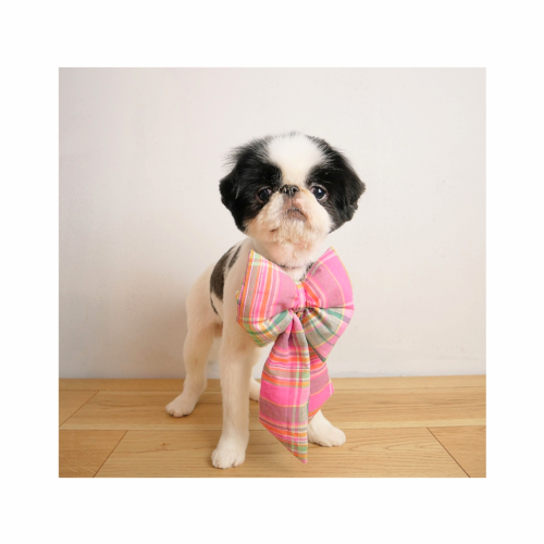 インスタ投稿　自己紹介　かわいい　花　ベージュ_20250401_091908_0001~2.png