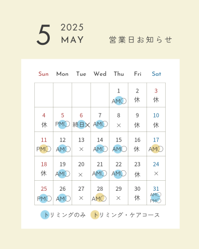 2025.05 営業日