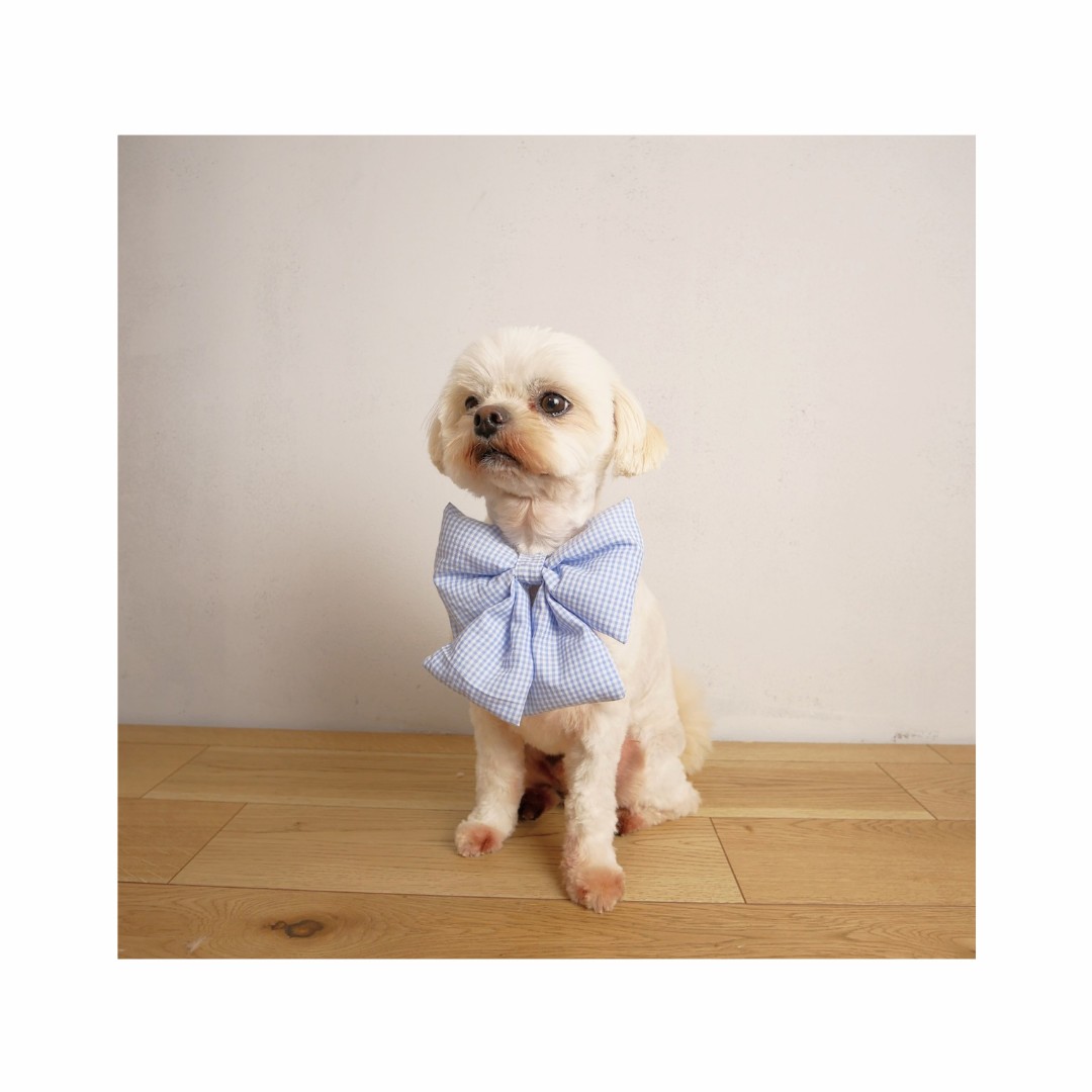 インスタ投稿　自己紹介　かわいい　花　ベージュ_20250604_113220_0001~2.png