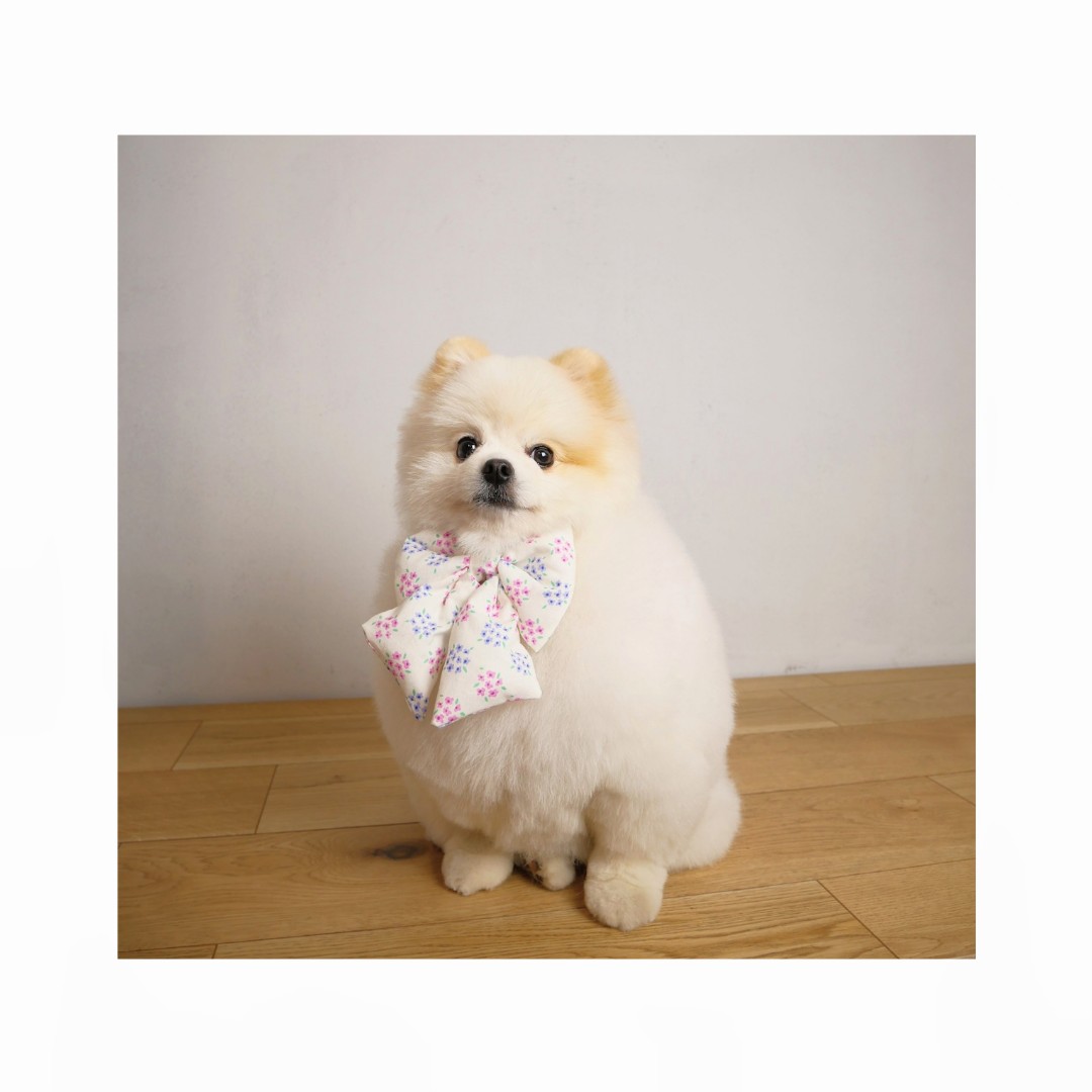 インスタ投稿　自己紹介　かわいい　花　ベージュ_20250610_024658_0001~2.png