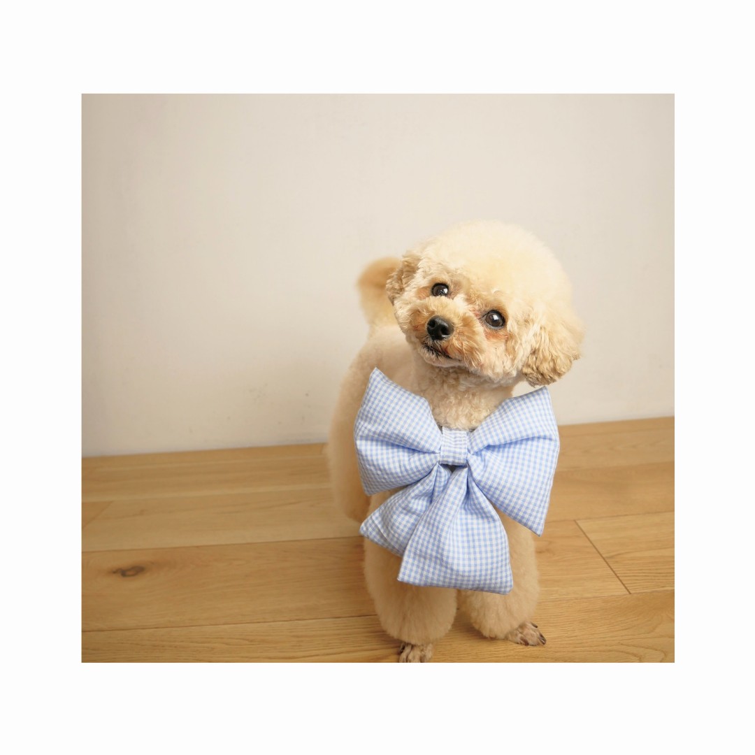 インスタ投稿　自己紹介　かわいい　花　ベージュ_20250517_183710_0001~2.png