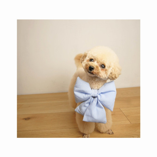 インスタ投稿　自己紹介　かわいい　花　ベージュ_20250517_183710_0001~2.png