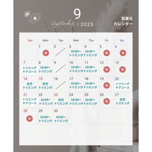 2025.09 営業日