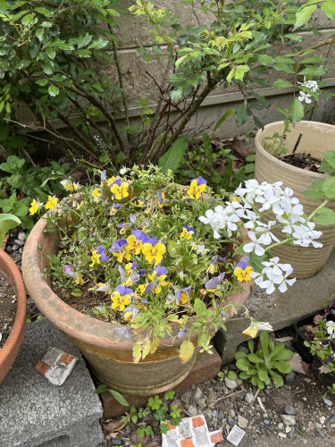 IMG_0651.jpeg
