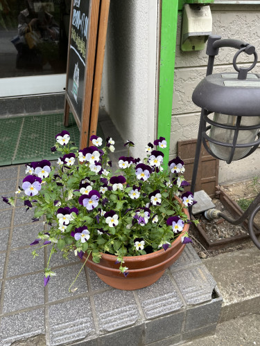 IMG_0654.jpeg