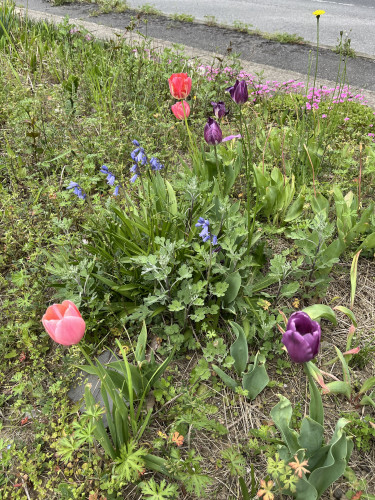 IMG_0657.jpeg