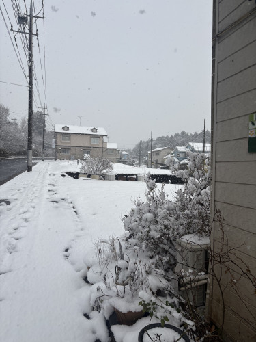 IMG_5191.jpeg
