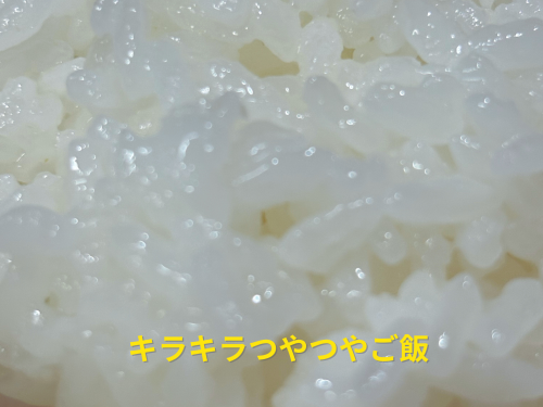 今年から栽培した「にじのきらめき」