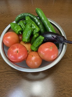 野菜.jpeg