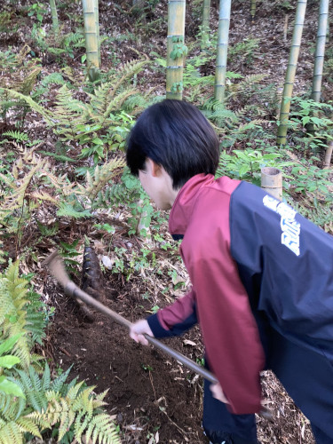 タケノコ堀.JPEG