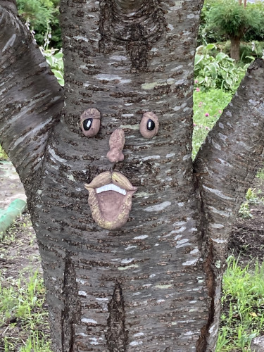 ききょうの里.JPEG