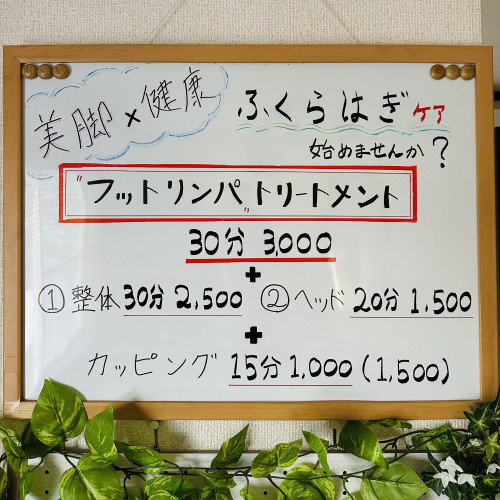 IMG_8084.jpeg