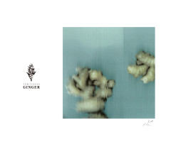 『テンタソビ #01』