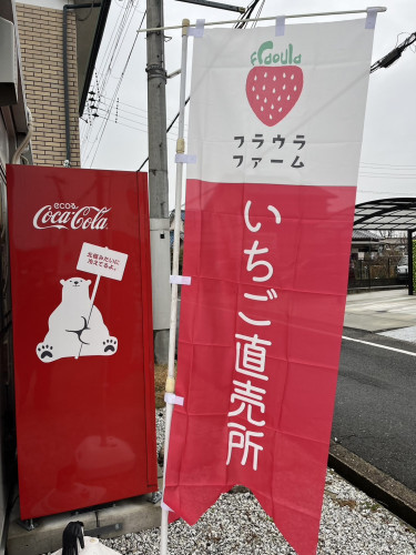 S__38166565.jpg